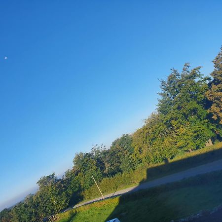 Energetischer Urlaub In Der Eifel Germeter Dış mekan fotoğraf