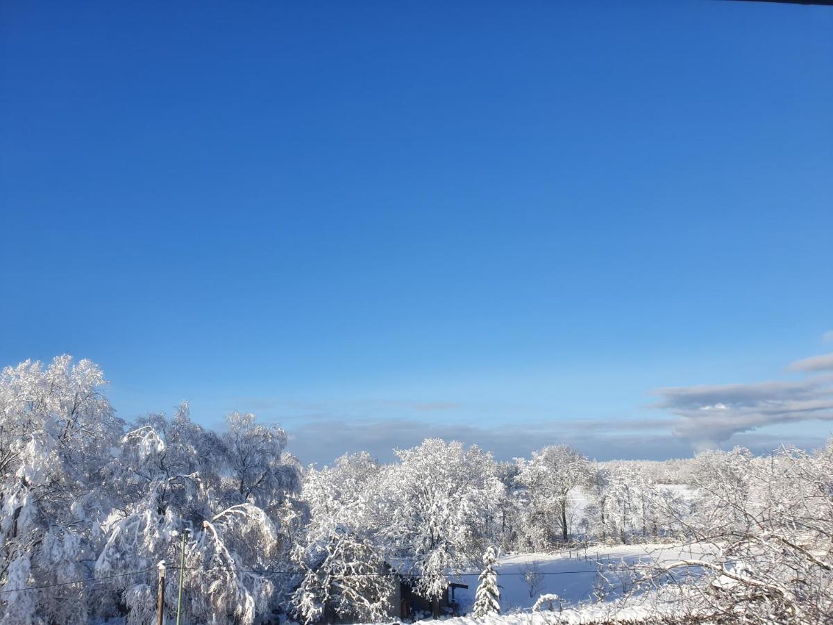Energetischer Urlaub In Der Eifel Germeter Dış mekan fotoğraf