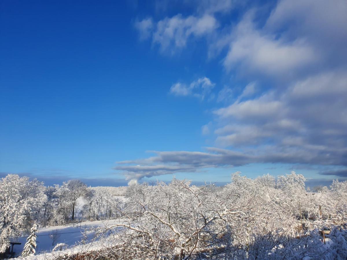 Energetischer Urlaub In Der Eifel Germeter Dış mekan fotoğraf